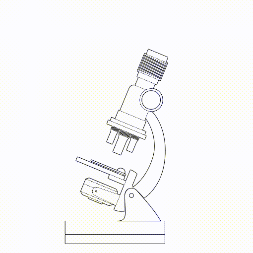 PathoCamAnim1 To convert slides to digital images install camera on your microscope