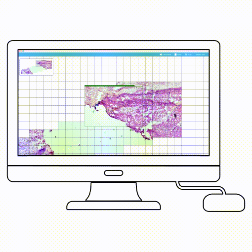 PathoCamAnim2 manual scanning with microscope