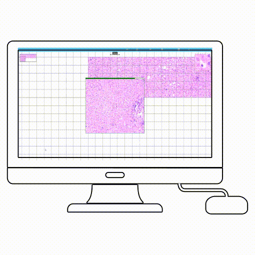 pathoCam2 manual scanning with microscope